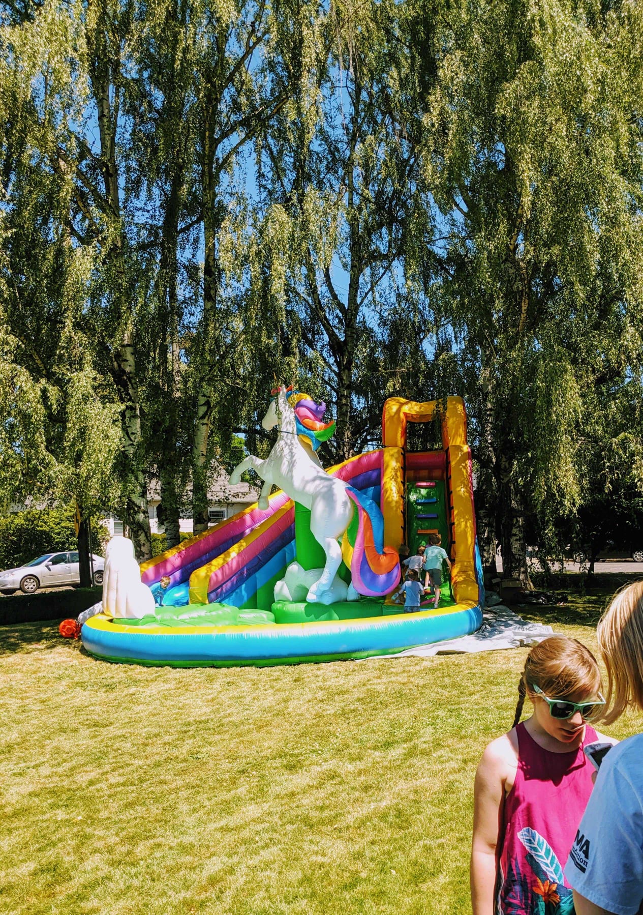 11am to 6pm: PRIDE "Mini Waterpark" day with Portland Fruit Tree