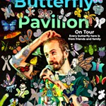 SOLD+OUT+Benny+Feldman